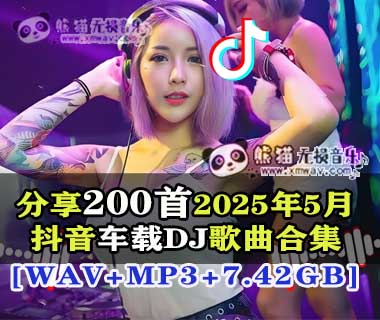 分享200首2025年5月抖音车载DJ无损歌曲合集