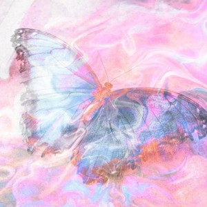 氛围感小众歌曲_“忍不住单曲循环!”